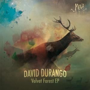 David Durango《Velvet Forest(Dub Remix)》[MP3_LRC]