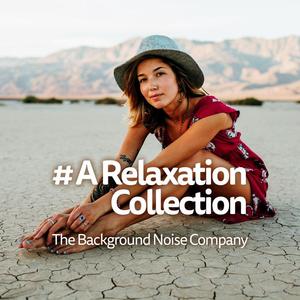 The Background Noise Company - Deep Waves: Brown and White Noise