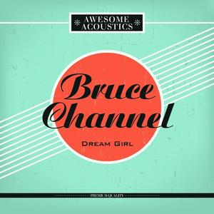 Bruce Channel《Breakin' up Is Hard to Do》[MP3_LRC]