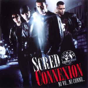 Scred Connexion&Krusty&Shotla&Le chat 2 gouttière - Enquête