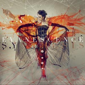 Evanescence《Never Go Back》[MP3_LRC]