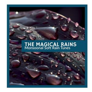 Stories of Spring Rain - Captivating Melodies of Summer Night