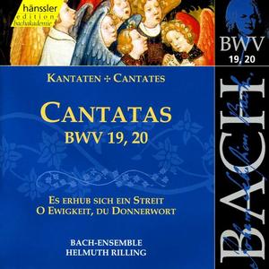 Barbara Rondelli&Stuttgart Bach Collegium&Helmuth Rilling《Recitative: Lasst uns das Angesicht (Soprano)》[MP3_LRC]