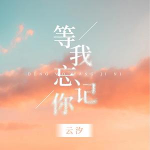 云汐《等我忘记你(和声伴奏)》[MP3_LRC]