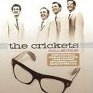 The Crickets《It's So Easy》[MP3_LRC]