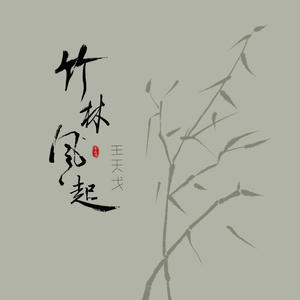 王天戈《竹林风起(和声伴奏)》[MP3_LRC]