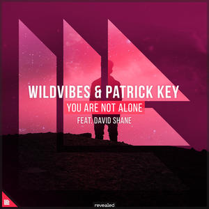 WildVibes&Patrick Key&David Shane《You Are Not Alone》[MP3_LRC]