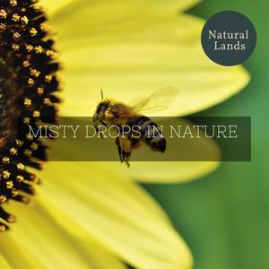 Grooming Nature Healing Vibes - Smooth Toad Trill