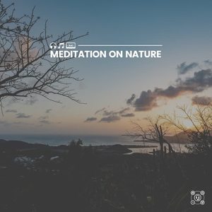 Sound of Nature Library - Drops to the Sea