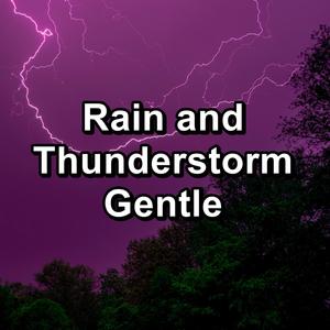 Thunder and Rain Storm&Rain&Thunder Sounds&Thunder Storm Sounds - Distant Rain in the Rainy Forest To Sleep with for 8 Hours