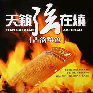 纯音乐 - 梅花三弄