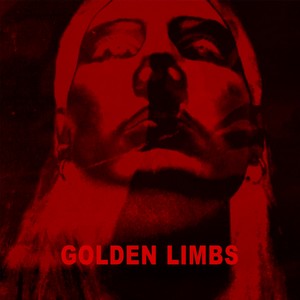Golden Limbs&Cover Sauce - Holding Out for a Hero