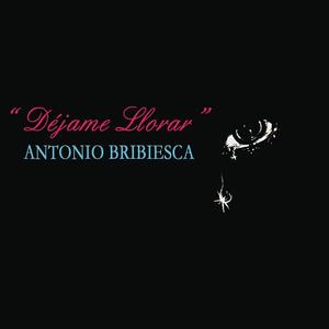 Antonio Bribiesca《Nunca》[MP3_LRC]