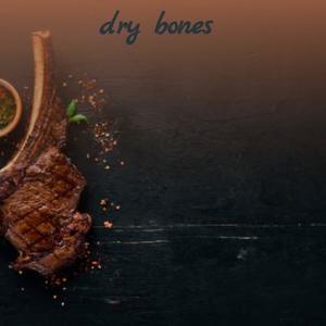 Fred Waring and His Pennsylvanians《Dry Bones》[MP3_LRC]