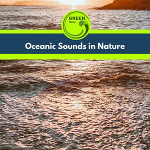 Eric Library of Nature Sounds《Ocean Craze and Waters》[MP3_LRC]