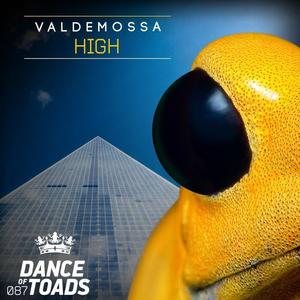 Valdemossa《High(Instrumental Mix)》[MP3_LRC]