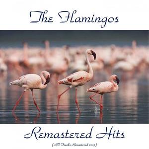 The Flamingos《Beside You(Remastered 2015)》[MP3_LRC]