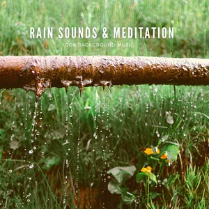 Meditation Nature Sounds&Muyorican Meditation&Mother Nature Sounds - Nostalgia