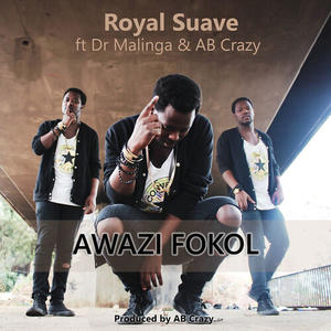 Royal Suave&Dr Malinga&AB Crazy《Awazi Fokol(Explicit)》[MP3_LRC]