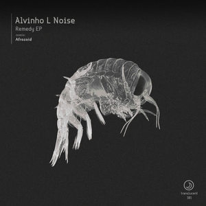 Alvinho L Noise《Homesick(Original Mix)》[MP3_LRC]