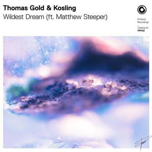 Thomas Gold&Kosling&Matthew Steeper《Wildest Dream(Extended Mix)》[MP3_LRC]