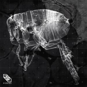 DJ T.A.G. - The Past Is the Future