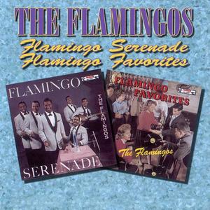 The Flamingos《Begin the Beguine》[MP3_LRC]