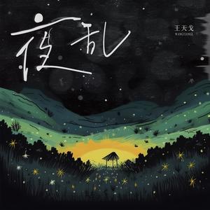 王天戈《夜乱(和声伴奏)》[MP3_LRC]