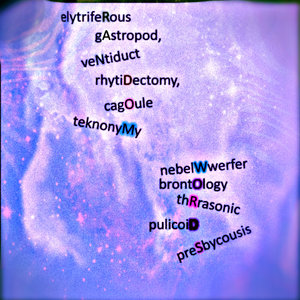 Random Words&Phloide&Computer Poetry Reading - serotinous