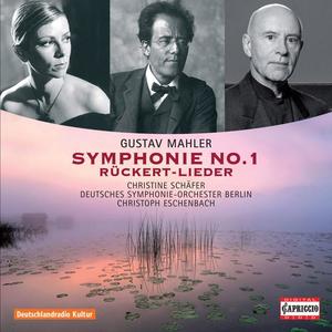 Christine Schäfer&Deutsches Symphonie-Orchester Berlin&Christoph Eschenbach《No. 7. Liebst du um Schonheit》[MP3_LRC]