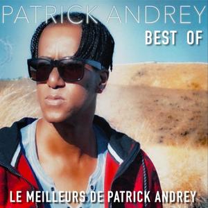 Patrick Andrey《Je t'aime trop tu vois》[MP3_LRC]