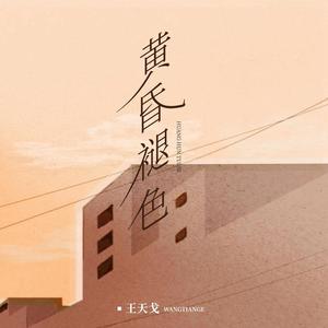 王天戈《黄昏褪色(伴奏)》[MP3_LRC]