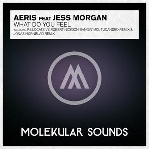 Aeris&Jess Morgan《What Do You Feel?(Jonas Hornblad Remix)》[MP3_LRC]