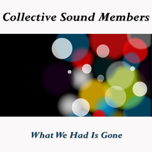 Collective Sound Members《What We Had Is Gone》[MP3_LRC]