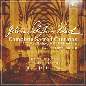 Knut Schoch&Holland Boys Choir&Netherlands Bach Collegium&Pieter Jan Leusink《II. Recitativo. Wer sollte nicht in klagen (Tenore)》[MP3_LRC]