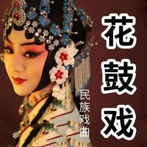 酒酒有声 - 花鼓戏 明月情宁乡正调