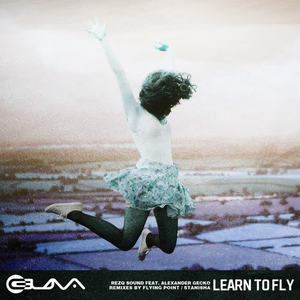 RezQ Sound&Alexander Gecko《Learn to Fly(Flying Point Remix)》[MP3_LRC]