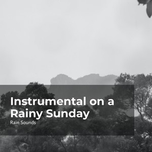 Rain Sounds&Natural Rain Sounds for Sleeping&Rain Storm Sample Library《Euphonious Rainfall》