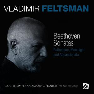 Vladimir Feltsman《Piano Sonata No. 8 in C Minor, Op. 13 "Pathetique": III. Rondo: Allegro》[MP3_LRC]