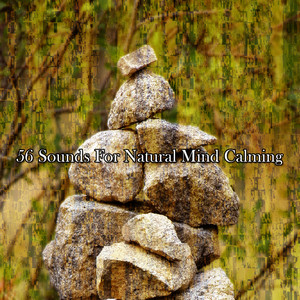 Lullabies for Deep Meditation - Wealth In Happiness