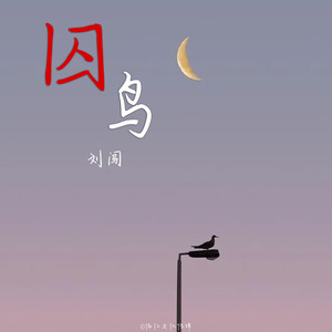 刘闯 - 囚鸟