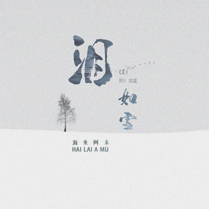 海来阿木《泪如雪(DJ默涵版)》[MP3_LRC]