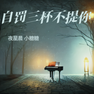 夜星晨&小糖糖《半身风雨半身伤》[MP3_LRC]