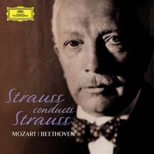 Berliner Staatskapelle&Richard Strauss《2. Andante con moto》[MP3_LRC]