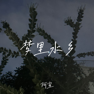 阿宣 - 梦里水乡