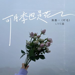 陈墨一（吖毛）《可月季也是花(Live版)》[MP3_LRC]