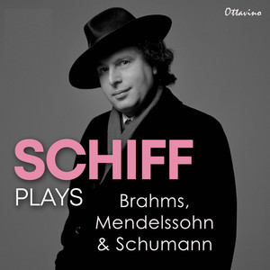 András Schiff&Peter Schmidl&Friedrich Dolezal《Brahms: Clarinet Trio in A Minor, Op. 114: II. Adagio》[MP3_LRC]