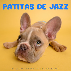 Jazz instrumental de fondo&Jazz relajante para perros&Sociedad de música relajante para perros - Ritmos