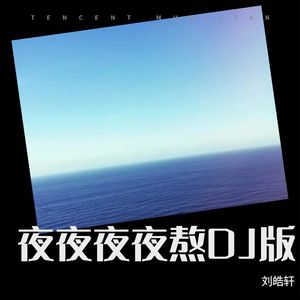 刘皓轩 - 夜夜夜夜熬DJ版