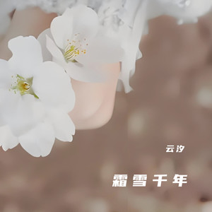 云汐《霜雪千年(梨花香DJ版)》[MP3_LRC]